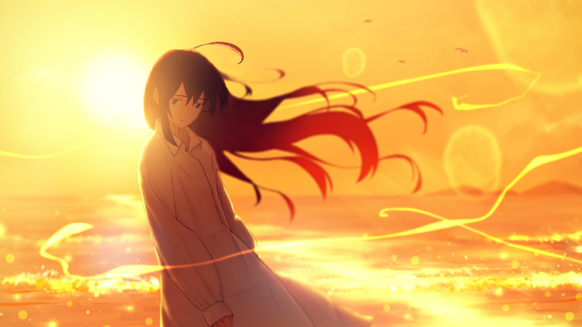 1girl :| absurdres ahoge arms_at_sides black_eyes black_hair blurry closed_mouth collared_dress cowboy_shot depth_of_field dress evening expressionless floating_hair hair_between_eyes highres horizon landscape lens_flare long_dress long_hair looking_at_viewer ocean oka_kojiro open_collar orange_sky original outdoors reflection reflective_water scenery sidelocks simple_bird sky solo sun sunset white_dress