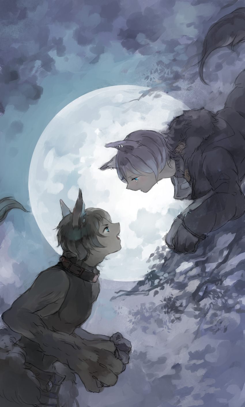 2boys absurdres animal_collar animal_ears animal_hands black_jacket blue_background blue_eyes borrowed_character brown_hair claws collar ear_piercing fangs full_moon fur-trimmed_hood fur-trimmed_jacket fur_trim grey_hair highres hood hood_down hooded_jacket horns jacket long_sleeves looking_at_another looking_down looking_up male_focus monster_boy moon multiple_boys night night_sky open_mouth outdoors piercing pixiv_fantasia pixiv_fantasia_last_saga sakaya313 short_hair single_horn sky sleeveless tail upper_body wolf_boy wolf_ears wolf_tail