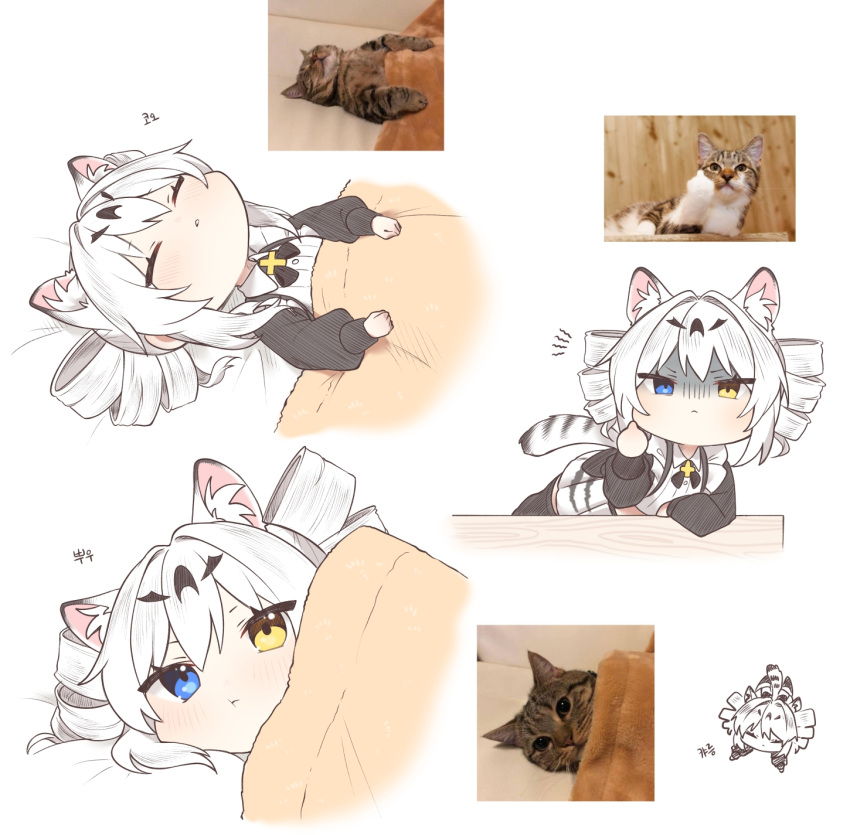 1girl animal_ear_fluff animal_ears black_sleeves black_thighhighs blue_eyes cat chibi commentary_request covering_with_blanket drill_hair heterochromia highres karenina:_ember_(deed_of_snow_leopard)_(punishing:_gray_raven) karenina:_ember_(punishing:_gray_raven) karenina_(punishing:_gray_raven) leopard_ears leopard_tail long_sleeves lying maid middle_finger multiple_persona myam_(123ab456c) photo_inset punishing:_gray_raven reference_photo shaded_face shirt tail thigh-highs translation_request twin_drills white_background white_hair white_shirt yellow_eyes