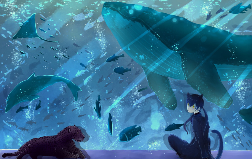 1girl animal animal_ears aquarium black_hair black_leopard_(kemono_friends) black_leotard black_shirt black_skirt blonde_hair blue_whale bodystocking creature_and_personification dolphin ena_jura fish fish_tank highres kemono_friends layered_sleeves leopard leopard_ears leopard_girl leopard_tail leotard long_hair long_sleeves looking_at_another looking_at_viewer looking_back manta_ray shirt short_over_long_sleeves short_sleeves silhouette sitting skirt tail twintails very_long_hair water whale yellow_eyes