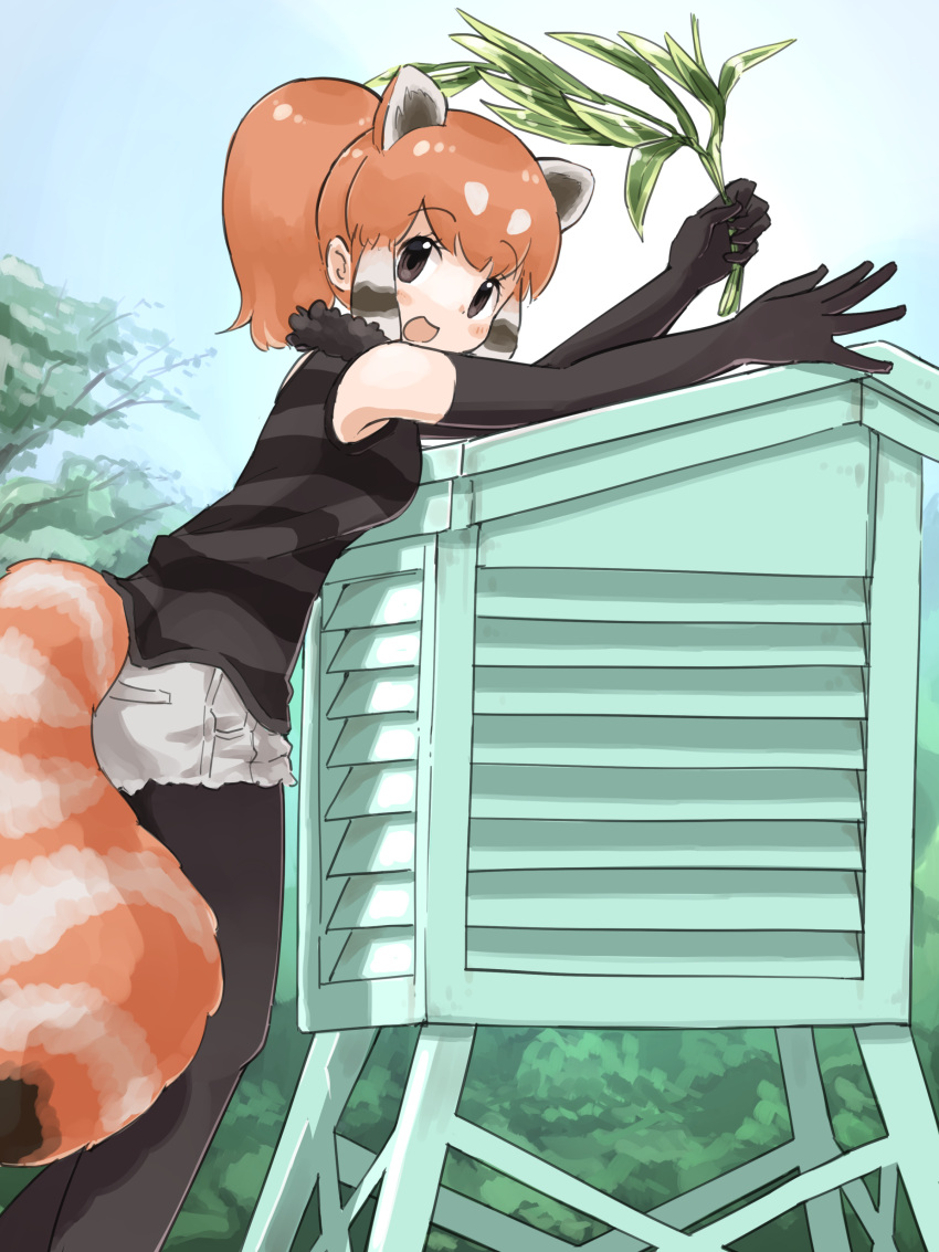 1girl absurdres black_gloves black_hair black_pantyhose black_shirt blue_sky blush breasts brown_eyes commentary_request cutoffs day elbow_gloves feet_out_of_frame from_side fur_collar gloves grey_shorts highres holding holding_plant iwa_(iwafish) kemono_friends leaning_on_object lesser_panda_(kemono_friends) long_hair looking_at_viewer looking_to_the_side medium_breasts multicolored_hair open_mouth orange_hair outdoors outstretched_arms pantyhose pantyhose_under_shorts plant ponytail raised_eyebrows reaching red_panda_ears red_panda_girl red_panda_tail shirt short_shorts shorts sidelocks sky sleeveless sleeveless_shirt smile solo standing stevenson_screen striped striped_shirt white_hair