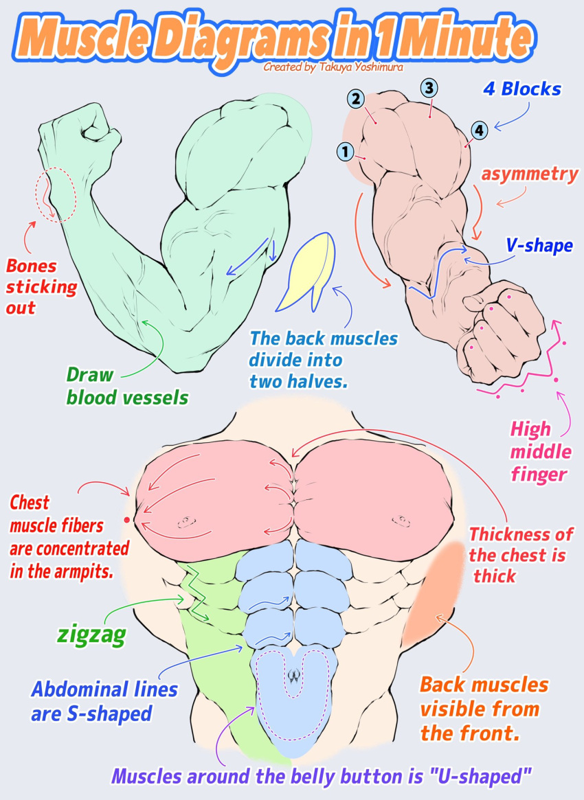 1boy abs anatomy arrow_(symbol) biceps cropped_torso disembodied_limb english_text flexing groin guide highres how_to large_pectorals male_focus multiple_views muscular muscular_male nipples obliques original pectorals v-taper veins veiny_arms yoshimura_takuya