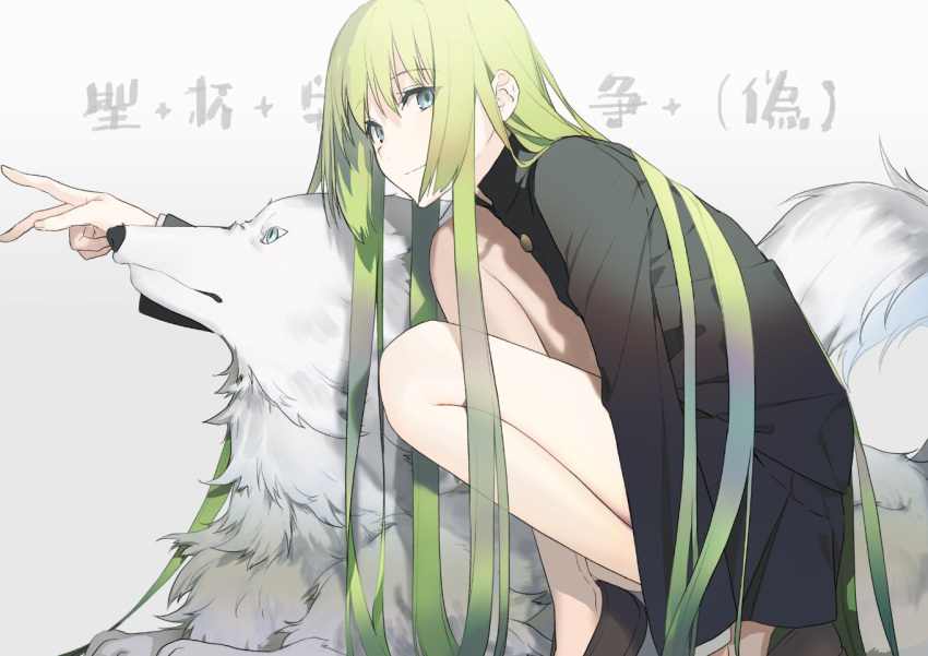 1other absurdly_long_hair akinashi_yuu androgynous aqua_eyes black_jacket enkidu_(fate) fate/strange_fake fate_(series) green_hair jacket long_hair long_sleeves no_socks other_focus shoes squatting v very_long_hair wolf wolf_(fate)