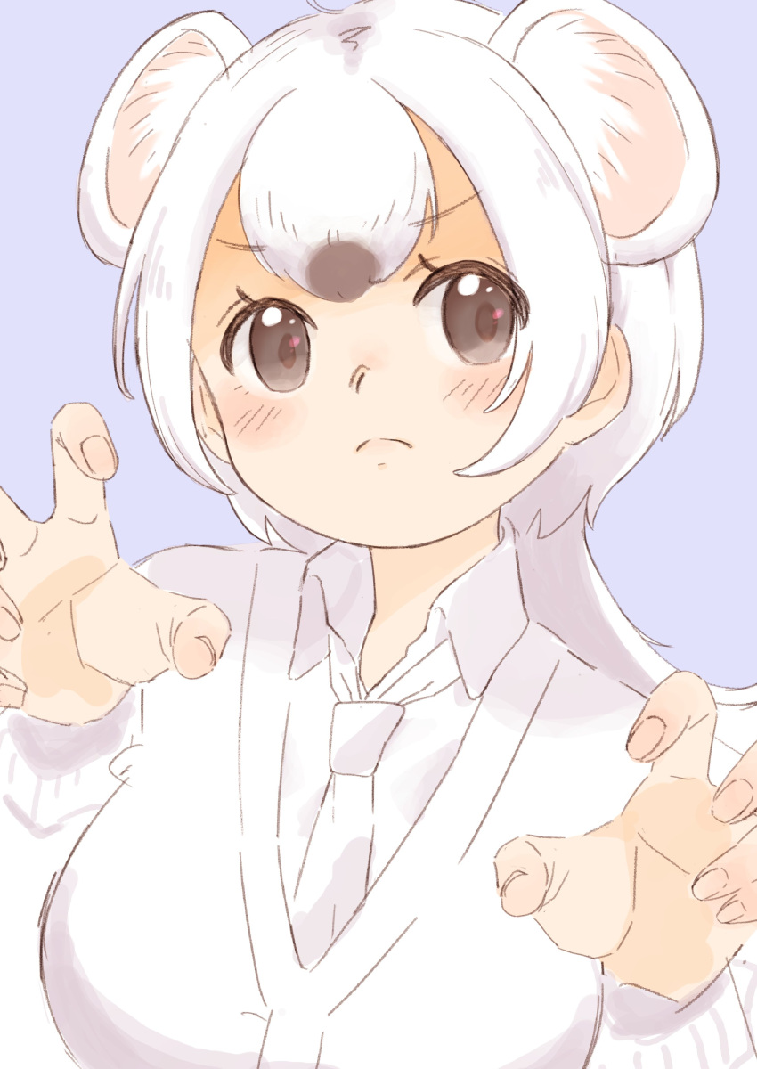 0nanaten 1girl absurdres animal_ear_fluff animal_ears black_eyes blue_background claw_pose commentary extra_ears frown highres jacket kemono_friends light_blush long_hair looking_at_viewer necktie serious shirt simple_background solo stoat_(kemono_friends) upper_body weasel_ears weasel_girl white_hair white_jacket white_necktie white_shirt wing_collar