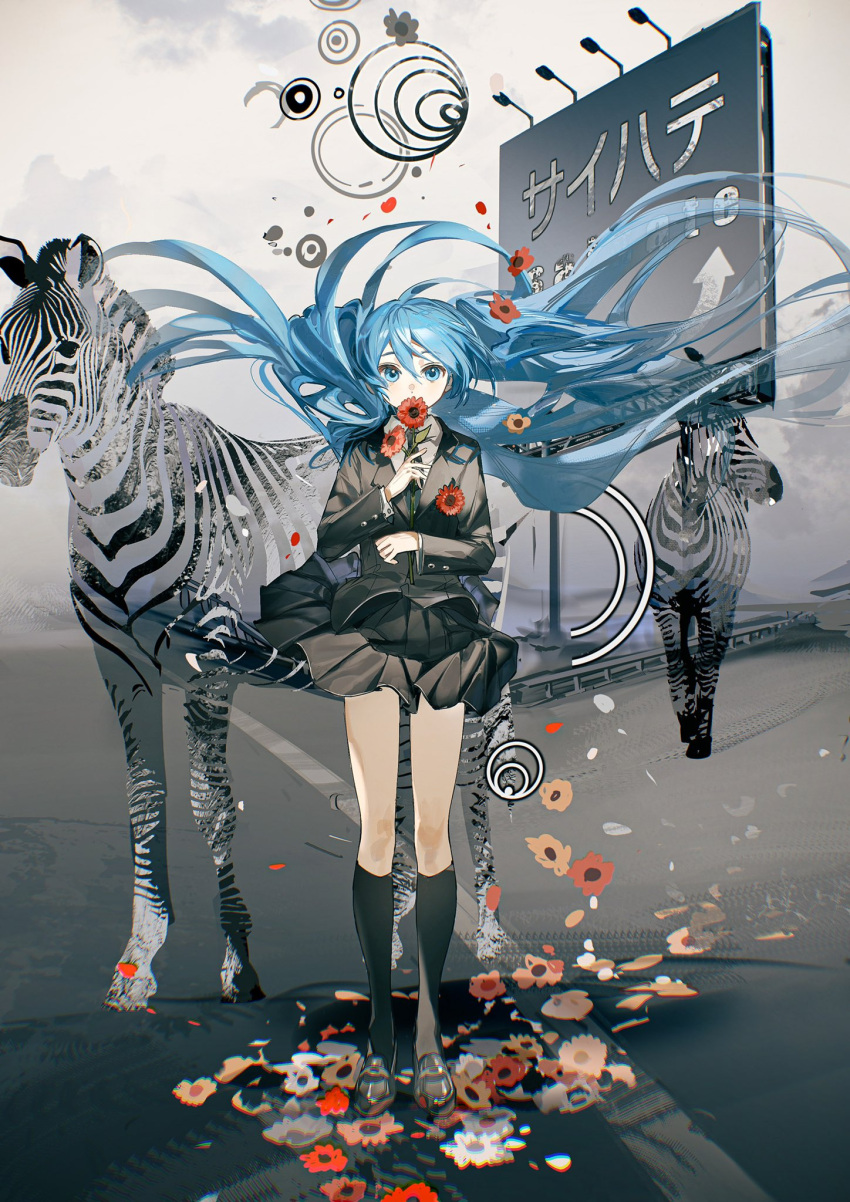 1girl animal aqua_eyes aqua_hair billboard black_footwear black_jacket black_skirt black_socks clothes_lift commentary covered_mouth english_text flower full_body hair_between_eyes hatsune_miku highres holding holding_flower jacket kneehighs loafers long_hair looking_at_viewer pleated_skirt poppy_(flower) railing red_flower road_sign rumoon saihate_(vocaloid) shirt shoes sign skirt skirt_lift socks solo_focus standing very_long_hair vocaloid white_flower white_shirt zebra