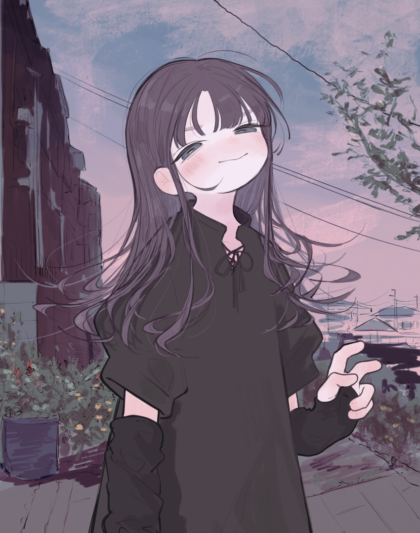 1girl arm_warmers bent_v black_eyes black_shirt blue_sky blush branch building bush choppy_bangs closed_mouth commentary_request hand_up head_back highres long_hair looking_at_viewer messy_hair multicolored_sky nose_blush original outdoors pink_sky power_lines puffy_short_sleeves puffy_sleeves purple_hair shirt short_sleeves sidelocks sky smile solo squinting standing thick_eyebrows town upper_body v-shaped_eyebrows wavy_hair wavy_mouth yunoki_itsugu