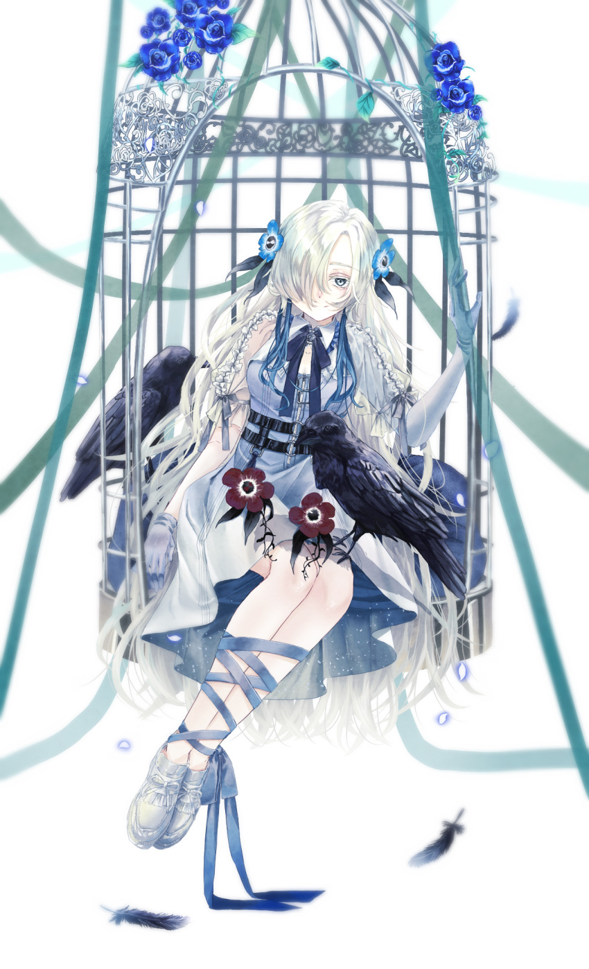 1girl asymmetrical_sleeves bird blue_flower blue_hair bound bound_legs cage creature crow familiar feathers flower full_body gloves grey_eyes hair_flower hair_ornament hair_over_one_eye highres isekai_joucho kamitsubaki_studio kudo425 long_hair looking_at_viewer multicolored_hair neck_ribbon petals ribbon ribbon_bondage sitting smile solo two-tone_hair uneven_sleeves virtual_youtuber white_background white_hair