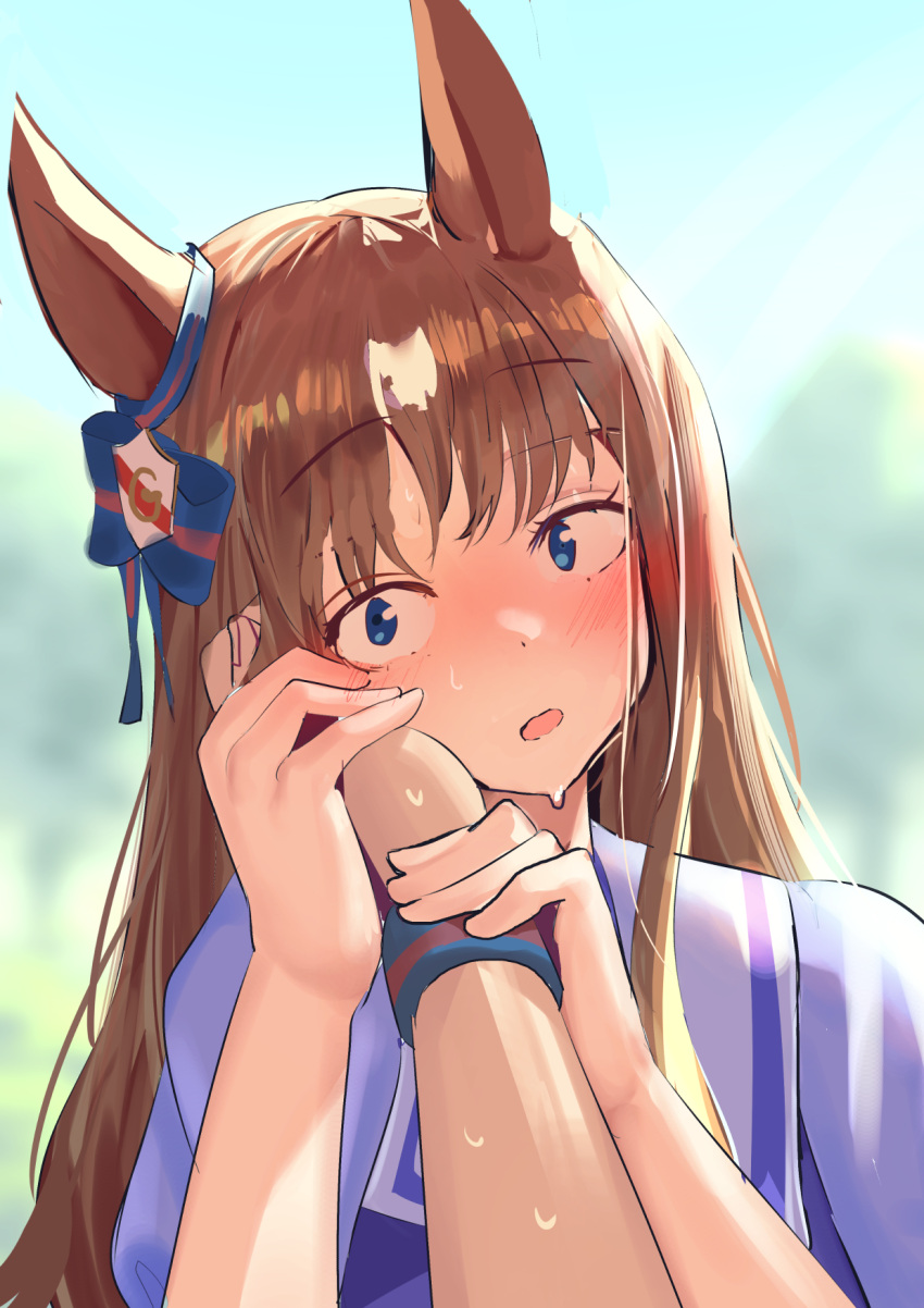 1girl 1other animal_ears blue_eyes blurry blurry_background blush brown_hair commentary_request ear_ornament embarrassed grass_wonder_(umamusume) hand_on_another's_cheek hand_on_another's_face highres holding_hands horse_ears horse_girl long_hair multicolored_hair nose_blush open_mouth outdoors pov purple_shirt school_uniform shirt smile solo_focus solokitsune streaked_hair tracen_school_uniform umamusume upper_body white_hair wristband