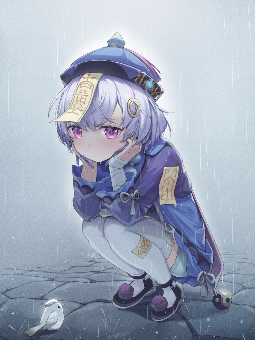 1girl absurdres arm_support bandaged_arm bandages bird blue_shorts braid coin_hair_ornament commentary_request genshin_impact hair_between_eyes hair_ornament hat head_rest highres jiangshi long_hair long_sleeves looking_at_viewer low_ponytail ofuda ofuda_on_clothes ofuda_on_head outdoors purple_hair qing_guanmao qiqi_(genshin_impact) rain shirt shorts sidelocks single_braid solo squatting thigh-highs violet_eyes wet wet_clothes wet_shirt white_thighhighs zx961219