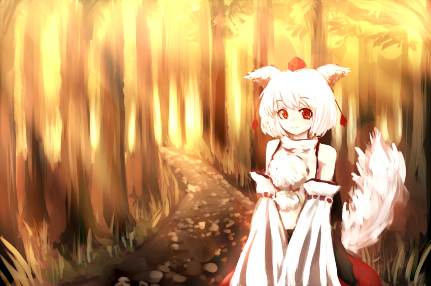 bare_shoulders detached_sleeves hal360 hat inubashiri_momiji red_eyes shoulders tail tokin_hat touhou white_hair wolf_ears wolf_tail
