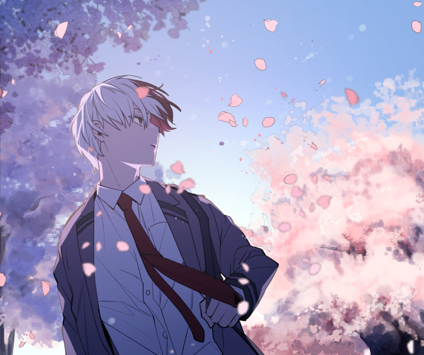 1boy anime_coloring blazer blue_sky blurry blurry_background blurry_foreground boku_no_hero_academia burn_scar buttons cel_shading cherry_blossoms cherry_tree collared_shirt double_horizontal_stripe dress_shirt dutch_angle eyes_visible_through_hair falling_petals floating_clothes floating_hair floating_neckwear flower grey_eyes grey_jacket hand_up highres holding_strap jacket lapels long_sleeves looking_to_the_side makuro male_focus multicolored_hair necktie notched_lapels open_clothes open_jacket outdoors parted_lips petals pink_flower red_necktie redhead scar scar_on_face school_uniform shirt short_hair shoulder_strap sideways_mouth sky solo split-color_hair straight_hair todoroki_shouto tree_shade turning_head two-tone_hair u.a._school_uniform white_hair white_shirt wind wing_collar