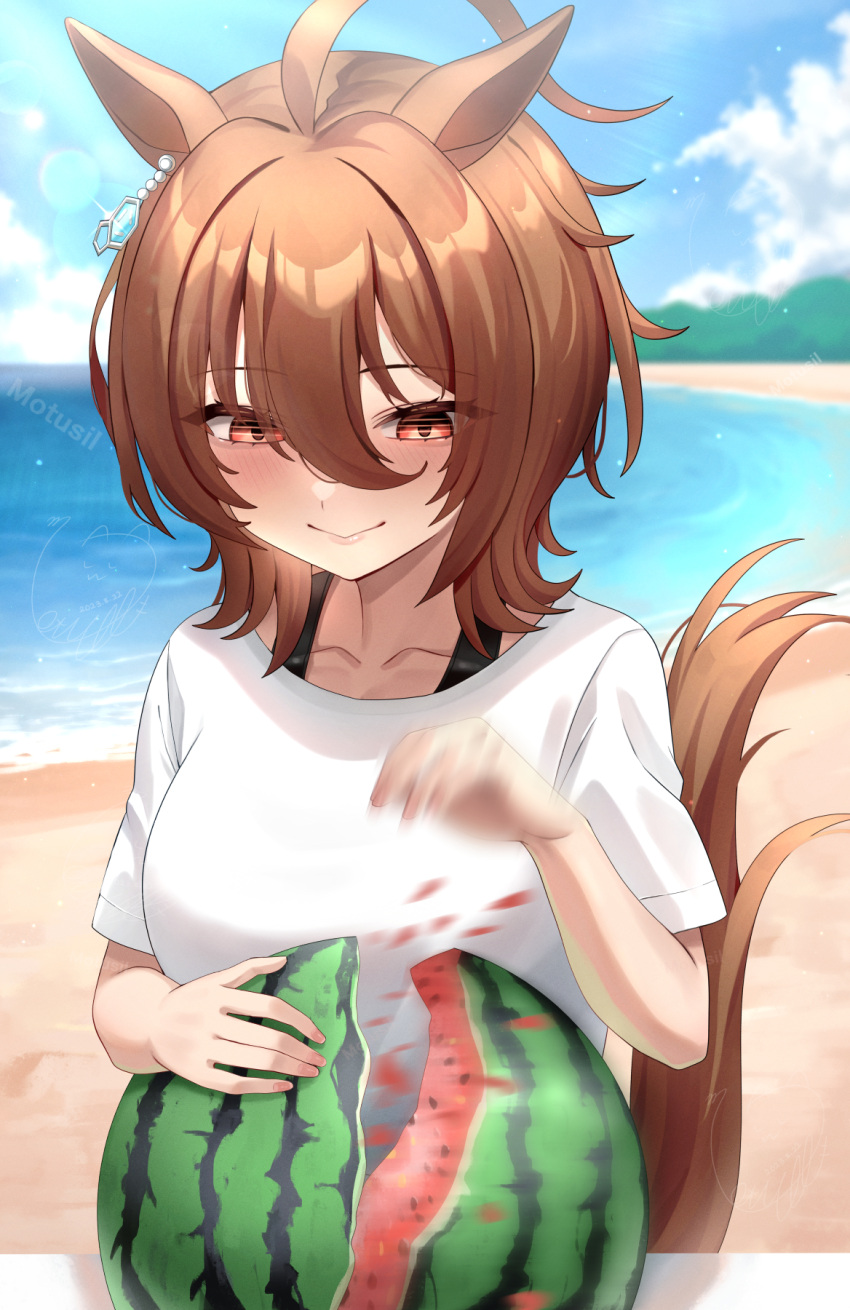 1girl agnes_tachyon_(umamusume) ahoge animal_ears beach blue_sky blush brown_hair closed_mouth collarbone commentary_request day earrings empty_eyes eyelashes food fruit hair_between_eyes hand_up highres horse_ears horse_girl horse_tail huge_ahoge jewelry lips long_bangs looking_at_food looking_at_object making-of_available medium_hair motsushi ocean outdoors red_eyes sand shirt short_sleeves sky smile solo summer sunlight t-shirt tail umamusume water watermelon white_shirt