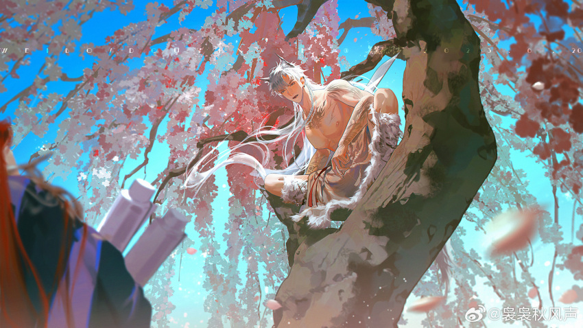 2boys animal_ears bare_pectorals bare_shoulders black_eyes flower highres in_tree long_hair looking_at_another male_focus multiple_boys original pectorals pink_flower sitting sitting_in_tree tattoo tiger_ears tree very_long_hair weibo_2963471665 white_hair wind wisteria