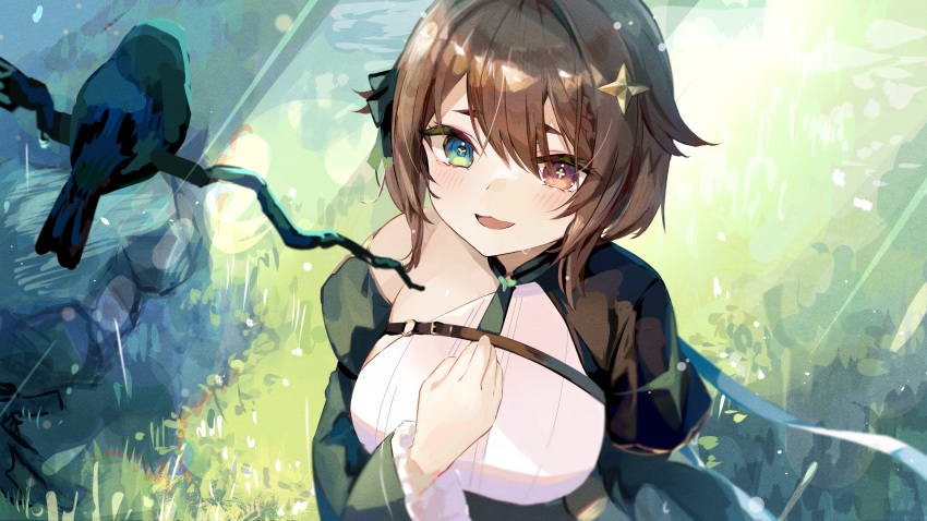 absurdres bird blush braid branch breasts brown_eyes brown_hair chest_belt cross-shaped_pupils detached_sleeves dress from_above grass green_dress green_eyes hair_flaps hair_ornament heterochromia highres indie_virtual_youtuber juliet_sleeves large_breasts light_particles light_rays long_sleeves medium_hair meica_(vtuber) mismatched_pupils outdoors puffy_sleeves shirt single-shoulder_shirt single_braid smile sprout-shaped_pupils star_(symbol) star_hair_ornament sunbeam sunlight symbol-shaped_pupils tamago_nezumi virtual_youtuber white_shirt