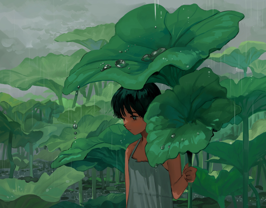 1girl absurdres black_eyes black_hair blush closed_mouth commentary_request dress expressionless grey_dress grey_eyes hand_up highres holding holding_plant leaf_umbrella lily_pad looking_ahead lotus_leaf myango_(applemangocrape) original outdoors overcast oversized_plant plant pond rain short_hair sky sleeveless sleeveless_dress solo water water_drop