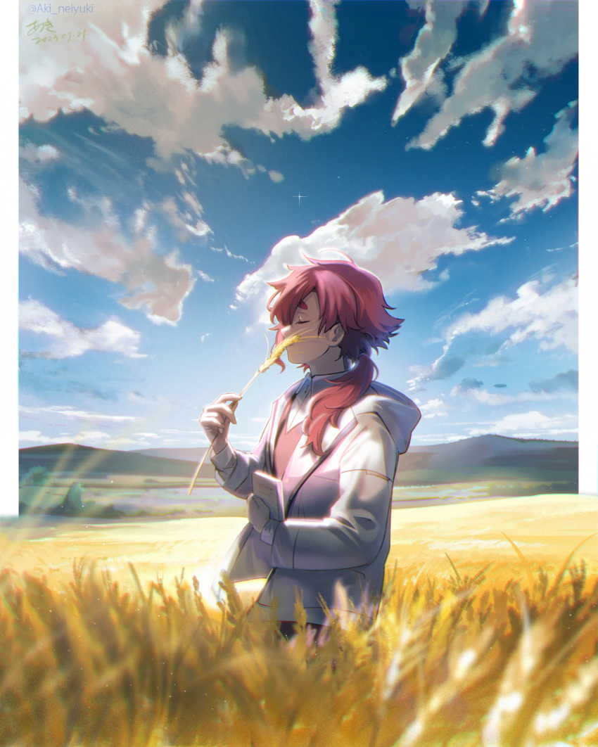 1girl aki_(neyuki41028) artist_name blue_sky blurry blurry_foreground book border chromatic_aberration closed_eyes closed_mouth clouds cloudy_sky collared_shirt day field gundam gundam_suisei_no_majo highres holding holding_book hood hood_down hoodie horizon jacket light_particles long_hair long_sleeves low-tied_long_hair low_ponytail mountainous_horizon open_clothes outdoors outside_border pillarboxed red_vest redhead revision shirt signature sky solo spoilers suletta_mercury thick_eyebrows twitter_username vest wheat wheat_field white_border white_hoodie white_shirt