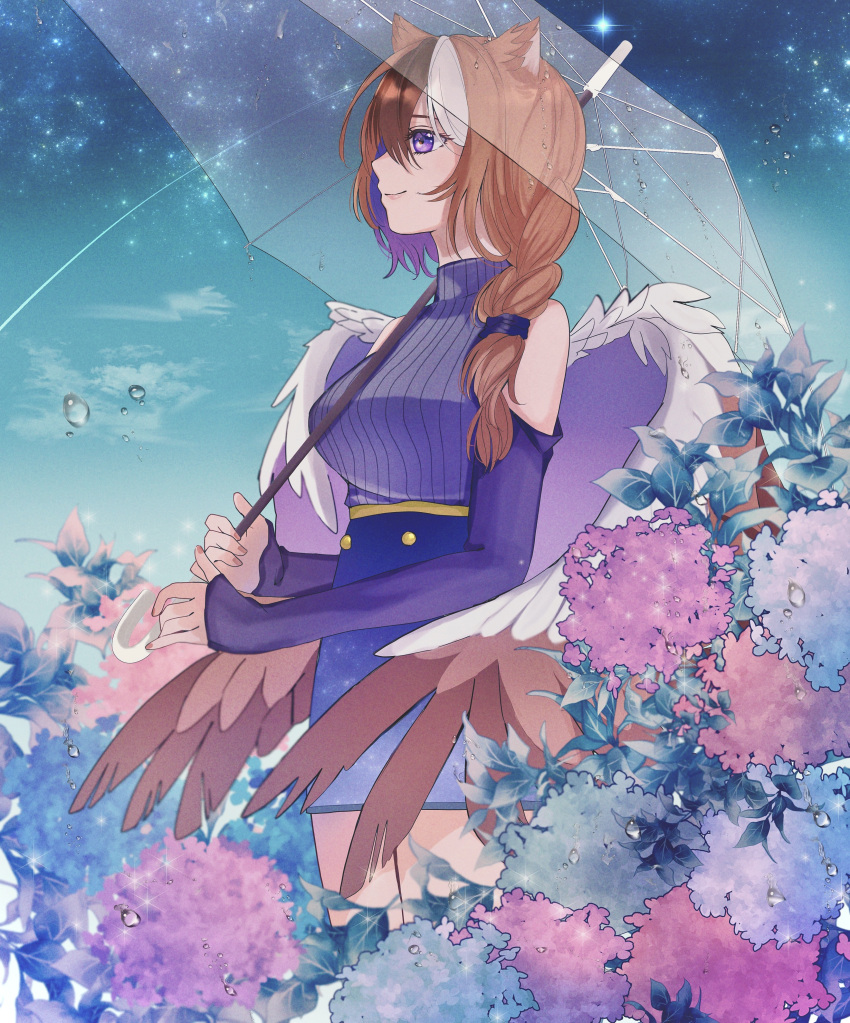 1girl absurdres animal_ears bare_shoulders bird_wings blue_background blue_skirt blue_sky braid brown_hair brown_wings closed_mouth clothing_cutout colored_inner_hair commission estelle_(cieluscian) feathered_wings flower hair_over_one_eye hands_up high-waist_skirt highres holding holding_umbrella hydrangea kuze_0131 long_hair long_sleeves looking_to_the_side low-tied_long_hair multicolored_hair night night_sky original outdoors over_shoulder pink_flower plant purple_flower purple_hair purple_sweater purple_wings second-party_source shooting_star shoulder_cutout side_braid skeb_commission skirt sky sleeveless sleeves_past_wrists smile solo standing star_(sky) starry_sky streaked_hair sweater transparent transparent_umbrella turtleneck turtleneck_sweater umbrella violet_eyes water_drop white_hair white_wings wings