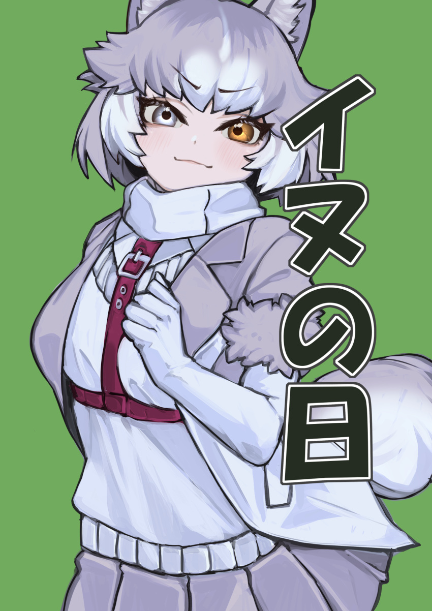 1girl a888_n22 blue_eyes blush cowboy_shot dog_(mixed_breed)_(kemono_friends) elbow_gloves gloves green_background grey_hair grey_jacket grey_skirt harness heterochromia highres jacket kemono_friends looking_at_viewer multicolored_clothes multicolored_hair multicolored_jacket pleated_skirt scarf short_hair short_sleeves skirt solo translated two-tone_hair two-tone_jacket vest white_gloves white_hair white_jacket white_scarf white_vest yellow_eyes