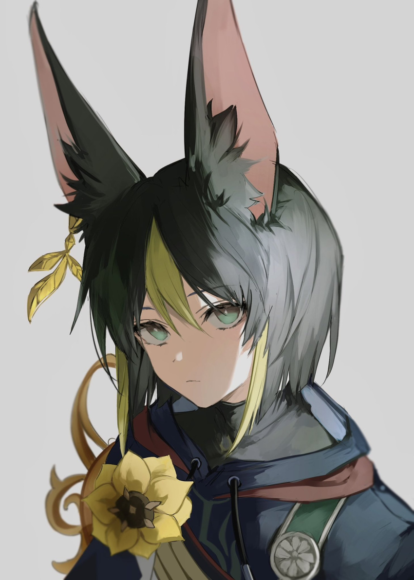 1boy animal_ears black_hair blonde_hair closed_mouth expressionless flower genshin_impact green_eyes grey_background hair_between_eyes highres looking_at_viewer male_focus multicolored_hair nozz177 short_hair simple_background solo streaked_hair tighnari_(genshin_impact) upper_body yellow_flower