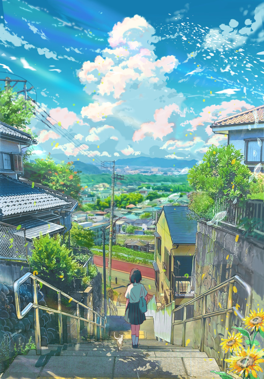 1girl absurdres bag building cat chain-link_fence clouds fence flower from_above from_behind highres house original railing rooftop ryowelcome1 scenery school_bag school_uniform shirt sky socks solo stairs sunflower tree utility_pole walkway white_cat white_shirt white_socks