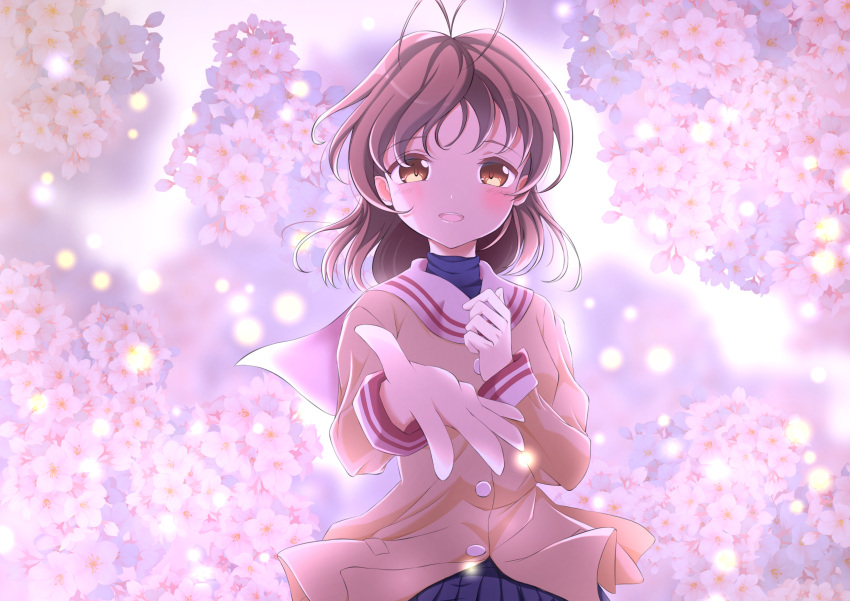 1girl antenna_hair blurry blurry_background blush brown_eyes brown_hair cherry_blossoms clannad commentary_request depth_of_field eyelashes floating_clothes floating_hair floral_background flower foreshortening furukawa_nagisa hair_between_eyes hand_up hato_maron highres jacket light_particles long_sleeves looking_at_viewer medium_hair open_mouth pink_flower reaching reaching_towards_viewer sailor_collar school_uniform smile solo teeth upper_body upper_teeth_only white_sailor_collar wind wind_lift yellow_jacket