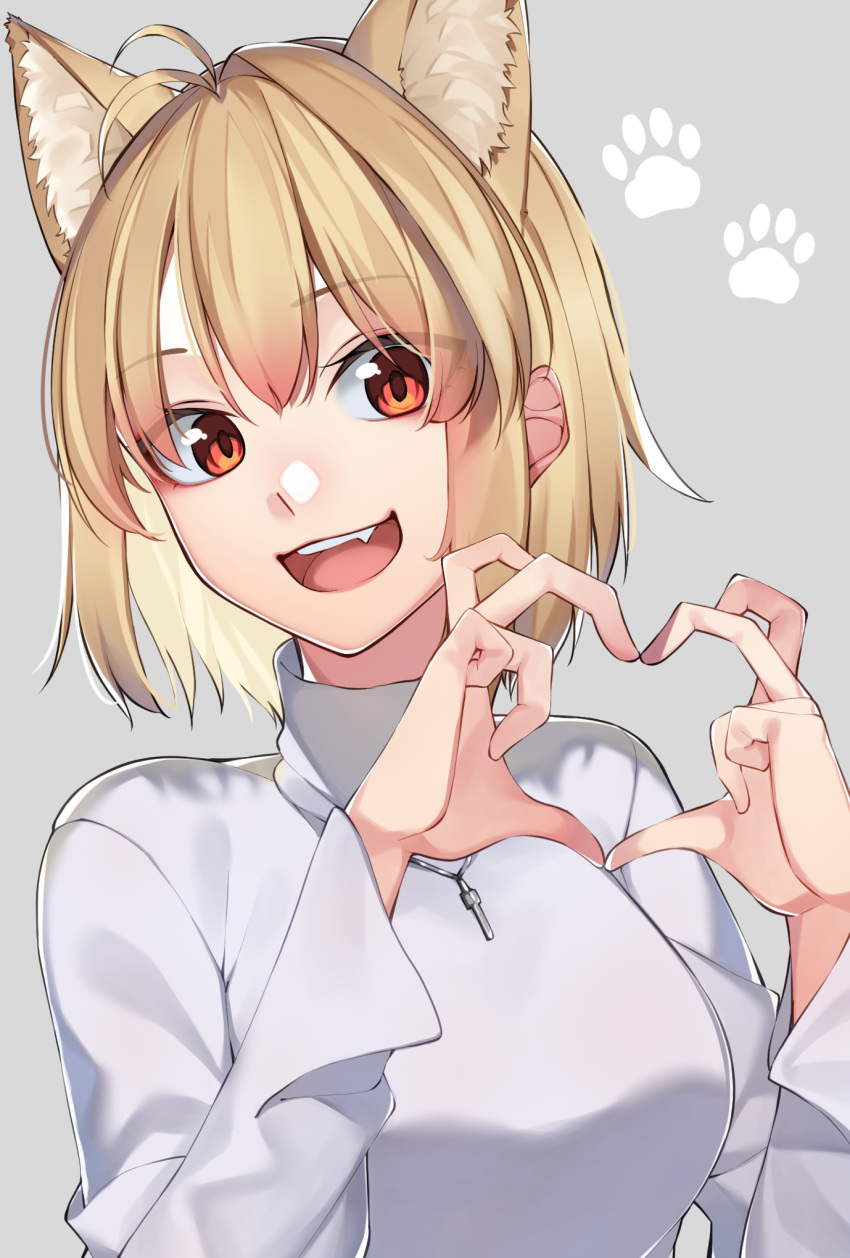 1girl animal_ear_fluff animal_ears antenna_hair arcueid_brunestud blonde_hair cat_ears commentary_request fang grey_background hair_between_eyes heart heart_hands highres jewelry long_sleeves necklace open_mouth paw_print paw_print_background red_eyes sarasara_shoyu short_hair simple_background single_hair_intake smile solo sweater tsukihime tsukihime_(remake) turtleneck turtleneck_sweater white_sweater