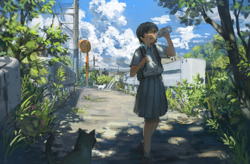 1girl absurdres anko1127 backpack bag black_hair blue_sky bottle bridge bright_pupils brown_eyes cat clouds cloudy_sky commentary_request cumulonimbus_cloud dappled_sunlight day dress_shirt empty_bottle foliage grey_skirt guard_rail highres holding holding_bottle holding_strap open_mouth original outdoors path pleated_skirt ribbed_socks scenery school_uniform shade shirt shirt_tucked_in shoes short_hair short_sleeves skirt sky solo summer sunlight sweatdrop tree utility_pole walking white_pupils white_shirt wide_shot