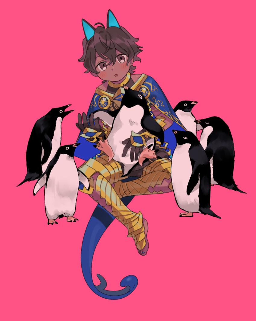 1boy animal animal_ears arjuna_(fate) arjuna_alter_(fate) barefoot bird blue_cape blush brown_eyes brown_hair cape dark-skinned_male dark_skin fate/grand_order fate_(series) highres holding holding_animal holding_bird indian_clothes male_focus oneroom-disco open_mouth penguin pink_background short_hair simple_background sitting tail toenails