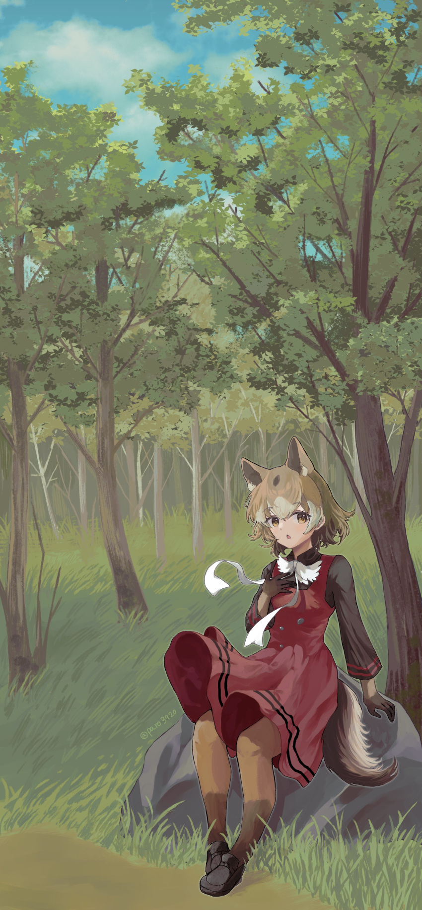 absurdres animal_ears black_footwear black_shirt brown_gloves brown_hair brown_pantyhose collared_shirt dog_ears dog_girl dog_tail dress extra_ears forest full_body gloves grass highres kemono_friends kemono_friends_3 light_brown_hair loafers long_sleeves multicolored_hair nature neckerchief new_guinea_highland_wild_dog_(kemono_friends) pantyhose paro3920 red_dress shirt shoes short_hair t-shirt tail two-tone_pantyhose war white_hair white_neckerchief