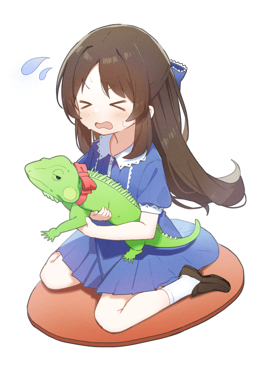 &gt;_&lt; 1girl absurdres animal blue_bow blue_dress blush bow brown_footwear brown_hair closed_eyes collar commentary_request dot_nose dress flying_sweatdrops hair_bow highres holding holding_animal hyou-kun idolmaster idolmaster_cinderella_girls idolmaster_cinderella_girls_u149 iguana legs long_hair open_mouth puffy_short_sleeves puffy_sleeves red_bow rinki_oohen scared shoes short_sleeves sidelocks sitting socks solo sweat tachibana_arisu v-shaped_eyebrows wariza wavy_mouth white_background white_collar white_socks