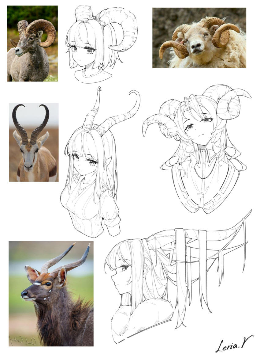 4girls 4others absurdres animal animal_request commentary_request goat goat_horns hair_on_horn highres horns leria_v monochrome multiple_girls multiple_others original real_life sheep sheep_horns