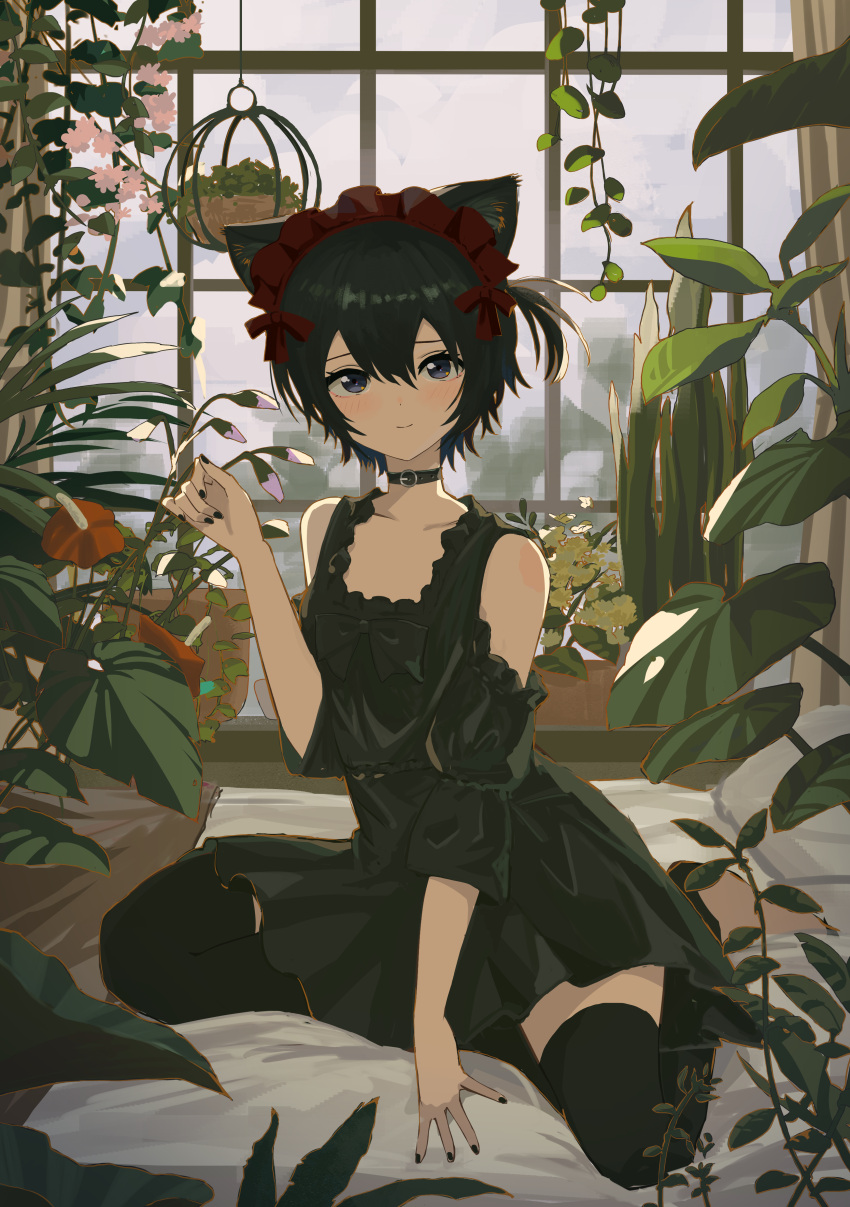 1girl absurdres animal_ears bare_shoulders black_bow black_choker black_dress black_hair black_nails black_thighhighs blue_eyes bow cat_ears choker closed_mouth collarbone commentary_request dress evening hair_between_eyes hair_bow highres indoors kgt_(pixiv12957613) light_blush light_smile looking_at_viewer maid_headdress nail_polish one_side_up original paw_pose plant potted_plant red_bow red_headwear short_hair sitting smile solo stirrup_legwear thigh-highs toeless_legwear wariza
