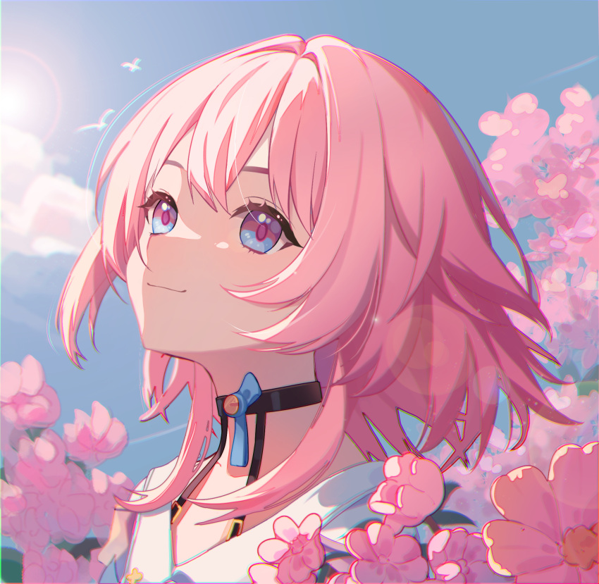 1girl bird black_choker blue_eyes blue_sky blurry bokeh chinese_commentary choker chromatic_aberration closed_mouth clouds collarbone depth_of_field flower from_side hair_between_eyes highres honkai:_star_rail honkai_(series) huang_tie_lin looking_up march_7th_(honkai:_star_rail) medium_hair pink_eyes pink_hair portrait shirt sky solo sun two-tone_eyes white_shirt