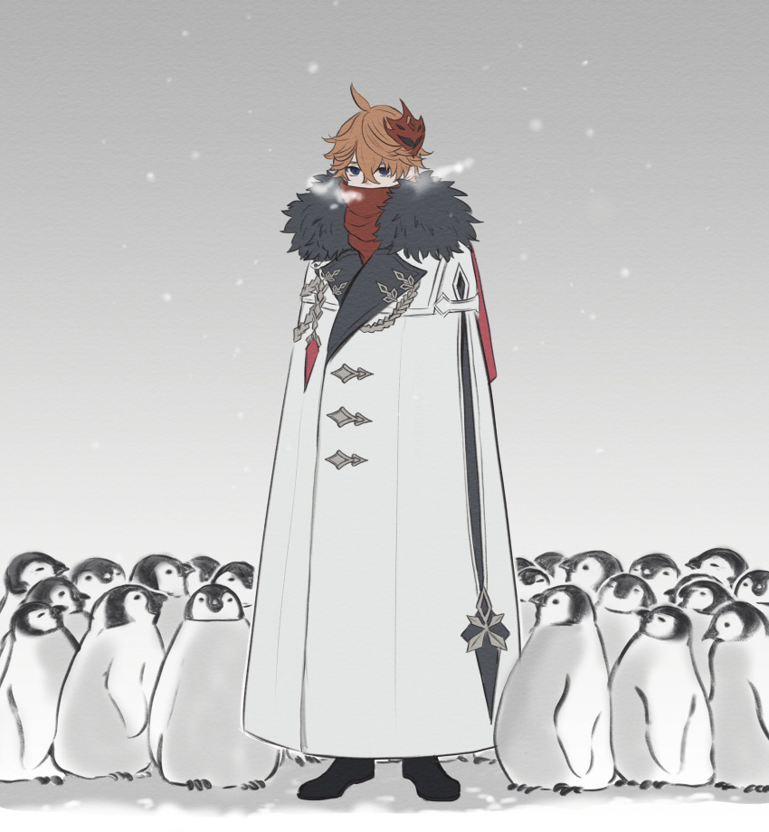 1boy ahoge aiguillette bird black_footwear blue_eyes boots coat cold commentary_request covered_mouth crossed_bangs full_body fur-trimmed_coat fur_trim genshin_impact gradient_background grey_background hair_between_eyes highres lapels male_focus mask mask_on_head orange_hair penguin red_mask red_scarf scarf scarf_over_mouth short_hair simple_background snowing solo standing tartaglia_(genshin_impact) uoo_minagiru white_background white_coat