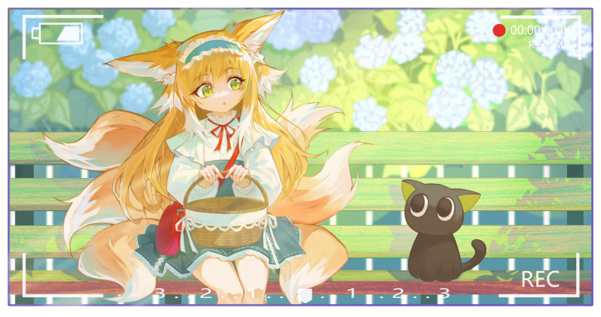 1girl animal_ears arknights bare_legs basket battery_indicator bench black_cat blonde_hair blue_flower blue_hairband blue_skirt blurry blurry_background border bow bowtie cat commentary_request cowboy_shot flower fox_ears fox_girl frilled_hairband frills green_eyes hairband head_tilt heixiu high-waist_skirt highres holding holding_basket kitsune kyuubi long_hair looking_at_another luo_xiaohei_zhanji multiple_tails o_o official_alternate_costume outdoors recording red_bag red_bow red_bowtie round_bag shirt skirt suzuran_(arknights) suzuran_(spring_praise)_(arknights) tail viewfinder white_hair white_shirt yyoumeng