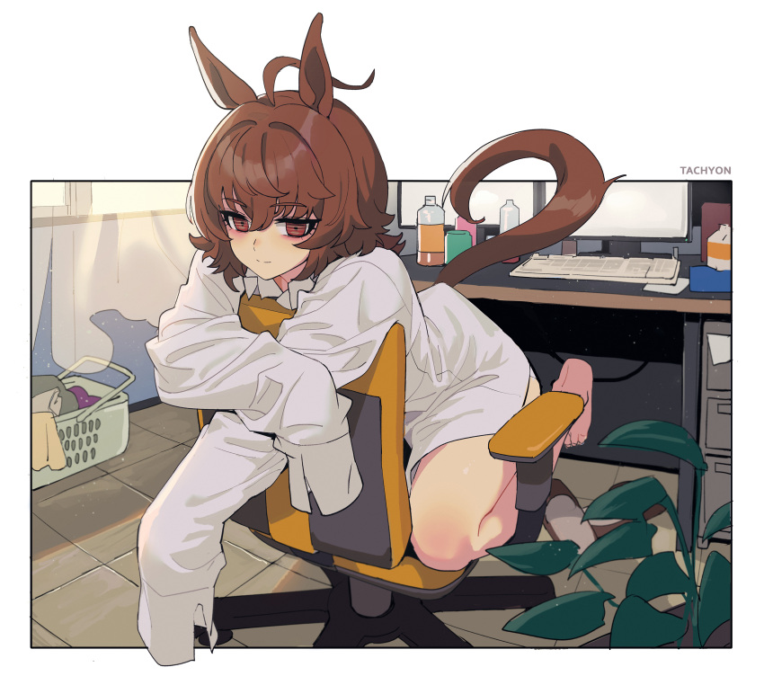 1girl absurdres agnes_tachyon_(umamusume) ahoge animal_ears barefoot bottle brown_eyes brown_hair closed_mouth coat empty_eyes hair_between_eyes highres horse_ears horse_girl horse_tail keyboard_(computer) lab_coat monitor on_chair sarcophage short_hair sleeves_past_fingers sleeves_past_wrists smile solo tail umamusume white_coat