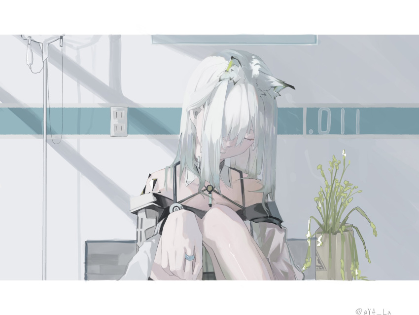 1girl animal_ears arknights ay4_la bench cat_ears closed_eyes commentary dress electrical_outlet highres indoors intravenous_drip jewelry kal'tsit_(arknights) knees_up letterboxed off-shoulder_dress off_shoulder oripathy_lesion_(arknights) plant potted_plant ring shadow sitting solo twitter_username white_dress white_hair