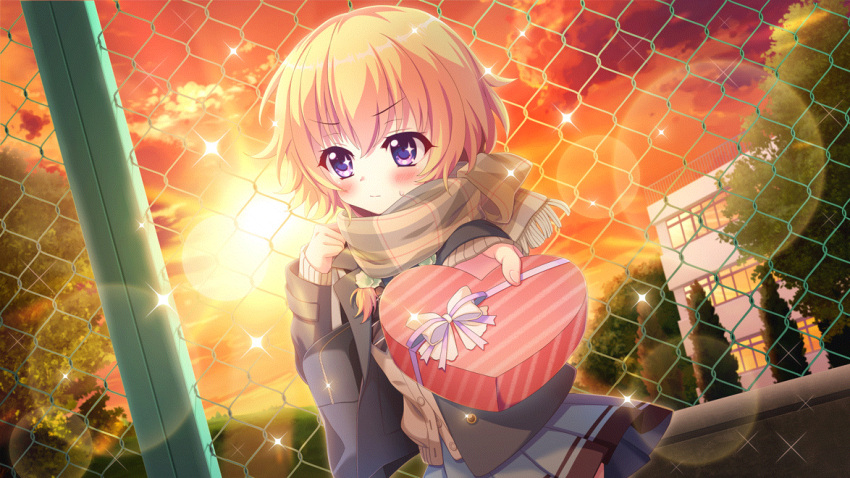 1girl averting_eyes black_coat blonde_hair blue_skirt blush box brown_cardigan building cardigan chain-link_fence closed_mouth clouds coat dot_nose dutch_angle evening fence film_grain game_cg green_scrunchie hair_ornament hair_scrunchie hasegawa_mii heart-shaped_box incoming_gift izumi_tsubasu lens_flare non-web_source official_art outdoors plaid plaid_scarf re:stage! scarf school_uniform scrunchie skirt solo sparkle sparkling_eyes sun tree valentine violet_eyes