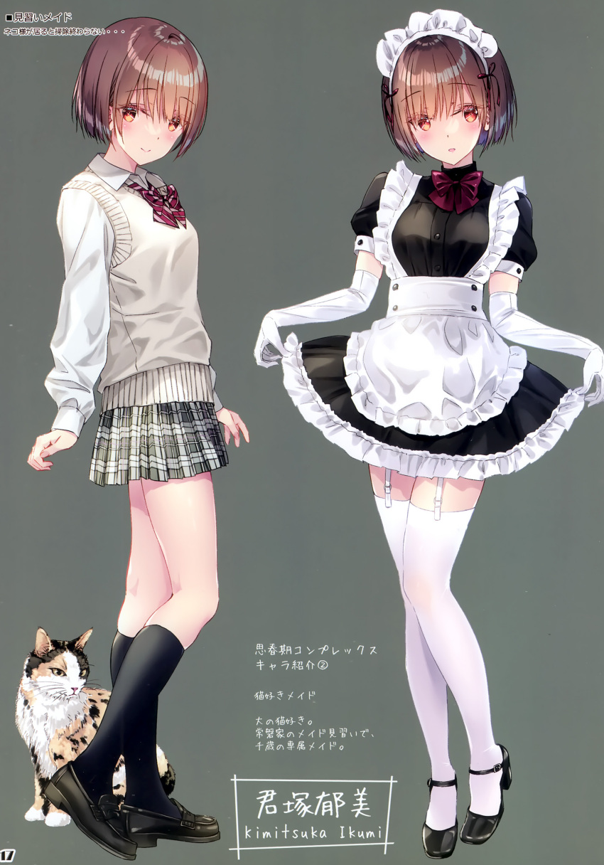 1girl absurdres animal apron blush breasts brown_eyes brown_hair buttons cat character_name closed_mouth elbow_gloves frills garter_straps gloves grey_background hair_ornament highres holding kobayashi_chisato loafers long_sleeves looking_at_viewer maid maid_headdress multiple_views open_mouth original puffy_short_sleeves puffy_sleeves ribbon scan school_uniform shoes short_hair short_sleeves simple_background skirt skirt_hold small_breasts smile socks standing thigh-highs waist_apron