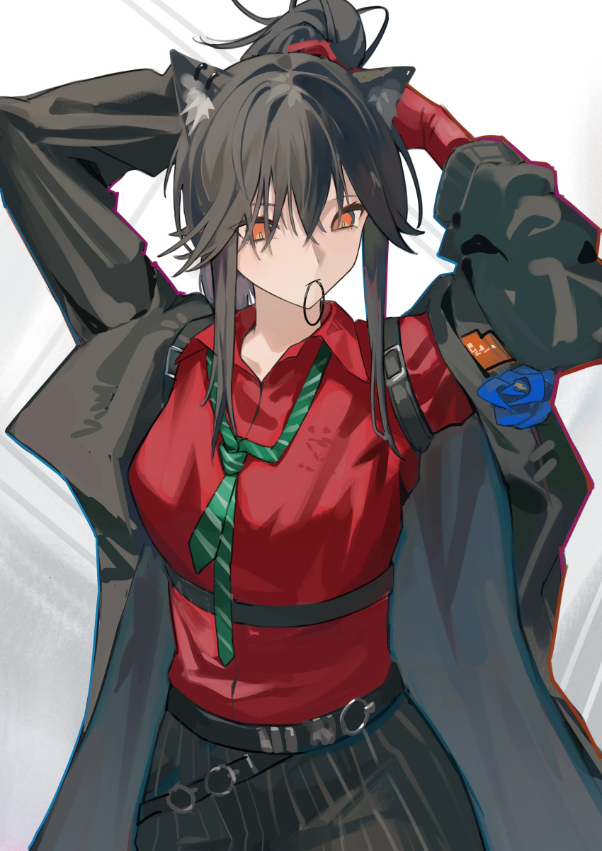 1girl absurdres adjusting_hair alternate_hairstyle animal_ears arknights black_coat breasts chromatic_aberration coat collared_shirt commentary empty_eyes gloves gradient_background grey_background hair_tie hair_tie_in_mouth harness highres krin_(krinnin) looking_to_the_side medium_breasts mouth_hold official_alternate_costume orange_eyes pants red_gloves red_shirt shirt sidelocks simple_background solo striped striped_pants texas_(arknights) texas_(willpower)_(arknights) tying_hair white_background wolf_ears wolf_girl
