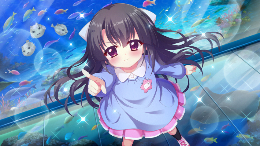 1girl :i aged_down aquarium aquarium_tunnel black_hair black_socks bow child clenched_hand dot_nose dutch_angle film_grain fish fish_request game_cg hair_bow ichikishima_mizuha izumi_tsubasu kindergarten_uniform lens_flare long_hair long_sleeves manta_ray name_tag non-web_source official_art pink_footwear pointing pointing_at_viewer pout puffer_fish re:stage! shoes socks solo sparkle star_(symbol) violet_eyes white_bow