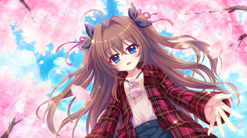 1girl ahoge black_bow blue_eyes bow brown_hair cherry_blossoms cherry_tree clouds day denim dot_nose eyewear_on_clothing falling_petals film_grain from_below game_cg hair_ribbon hanami izumi_tsubasu lens_flare long_shirt looking_at_viewer non-web_source official_art open_clothes open_mouth open_shirt outdoors petals pink-tinted_eyewear pink_ribbon plaid plaid_shirt re:stage! ribbon shikimiya_aone shirt smile solo sparkle sunglasses sunlight tinted_eyewear two_side_up white_shirt