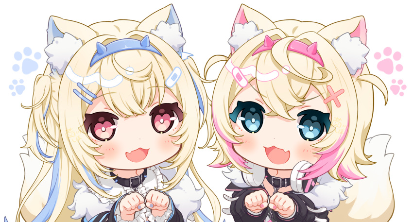 2girls :d animal_collar animal_ears ashikawa_shiho bandaid_hair_ornament black_collar black_jacket blonde_hair blue_eyes blue_hair blue_hairband blue_nails blush chestnut_mouth chibi collar commentary crossed_bangs dog_ears dog_girl dog_tail double-parted_bangs fake_horns fang fur-trimmed_jacket fur_trim fuwawa_abyssgard hair_between_eyes hair_intakes hair_ornament hairband hairclip headphones headphones_around_neck hololive hololive_english horns jacket long_hair long_sleeves looking_at_viewer mococo_abyssgard multicolored_hair multiple_girls nail_polish open_mouth paw_pose paw_print paw_print_background pink_hair pink_hairband red_eyes short_hair siblings simple_background sisters skin_fang smile spiked_collar spikes streaked_hair tail twins two_side_up v-shaped_eyebrows virtual_youtuber white_background x_hair_ornament