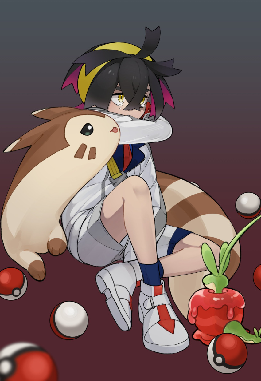 1boy :p antenna_hair arm_up black_hair blue_socks colored_inner_hair commentary_request covering_mouth crossed_bangs crying dipplin full_body furret gradient_background grey_background hair_between_eyes hairband highres jacket kieran_(pokemon) knee_up lapels long_sleeves male_focus multicolored_hair pluto11sco poke_ball poke_ball_(basic) pokemon pokemon_(creature) pokemon_(game) pokemon_sv purple_hair red_background shoes short_hair shorts sidelocks simple_background sitting socks tears tongue tongue_out two-tone_hair white_footwear white_jacket white_shorts yellow_eyes yellow_hairband zipper
