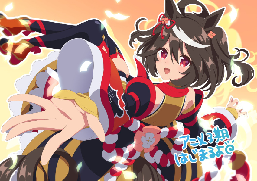 ahoge animal_ears black_hair commentary_request detached_sleeves hair_between_eyes hair_ornament highres horse_ears horse_tail kitasan_black_(umamusume) looking_at_viewer medium_hair open_mouth orange_background reaching reaching_towards_viewer red_eyes sandals setsura_(aowata35) simple_background solo tail thigh-highs translation_request umamusume