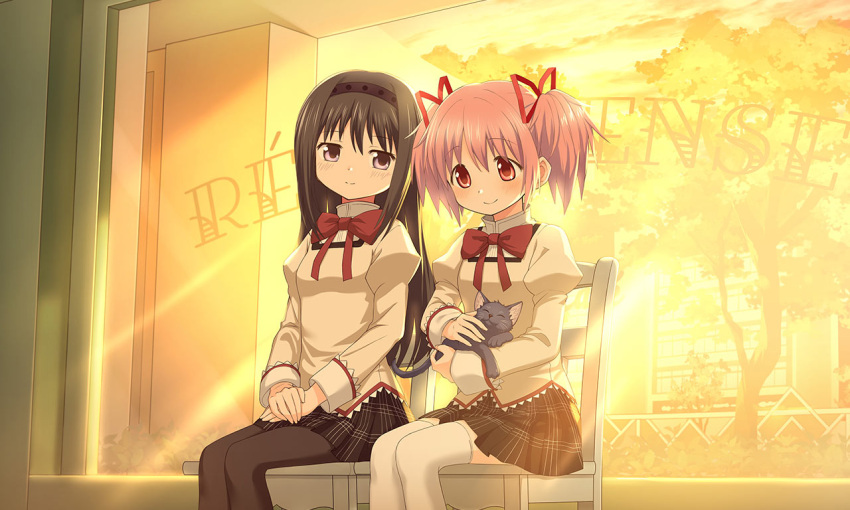 2girls akemi_homura amy_(madoka_magica) animal black_hair black_hairband black_pantyhose black_skirt blush bow bowtie cat chair closed_mouth collared_shirt dot_nose feet_out_of_frame game_cg hair_ribbon hairband hands_on_own_legs holding holding_animal holding_cat indoors juliet_sleeves kaname_madoka legs_together long_hair long_sleeves magia_record:_mahou_shoujo_madoka_magica_gaiden mahou_shoujo_madoka_magica mitakihara_school_uniform multiple_girls official_art pantyhose pink_eyes pink_hair plaid plaid_skirt pleated_skirt puffy_sleeves red_bow red_bowtie red_ribbon ribbon school_uniform shirt short_hair sidelocks sitting skirt sleeve_cuffs smile split_mouth sweater thigh-highs tree twintails very_long_hair white_shirt white_thighhighs yellow_sweater