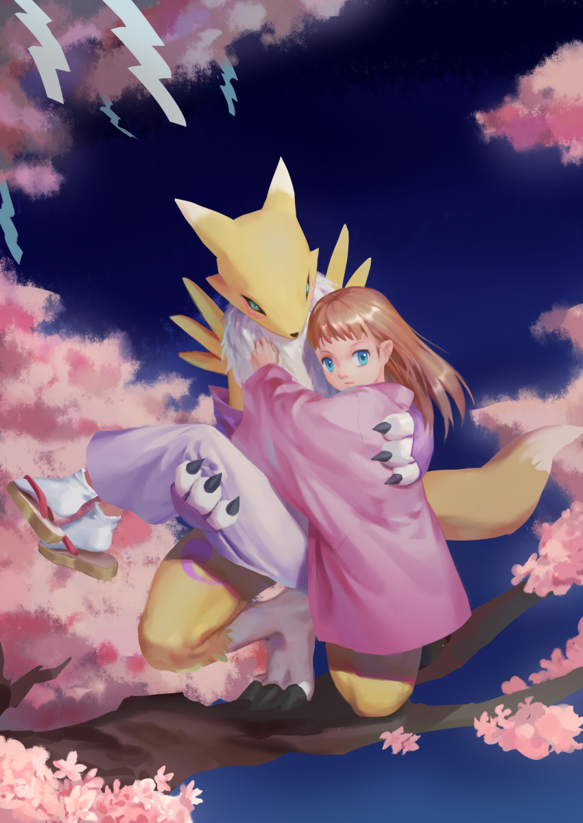 1girl 1other absurdres black_sclera blue_eyes brown_hair carrying cherry_blossoms colored_sclera digimon digimon_(creature) fox full_body hair_ornament hairpin hejia_abby highres in_tree japanese_clothes kimono long_hair looking_at_viewer makino_ruki outdoors pink_kimono pink_shawl princess_carry renamon sandals shawl socks tail tree violet_eyes white_socks yin_yang