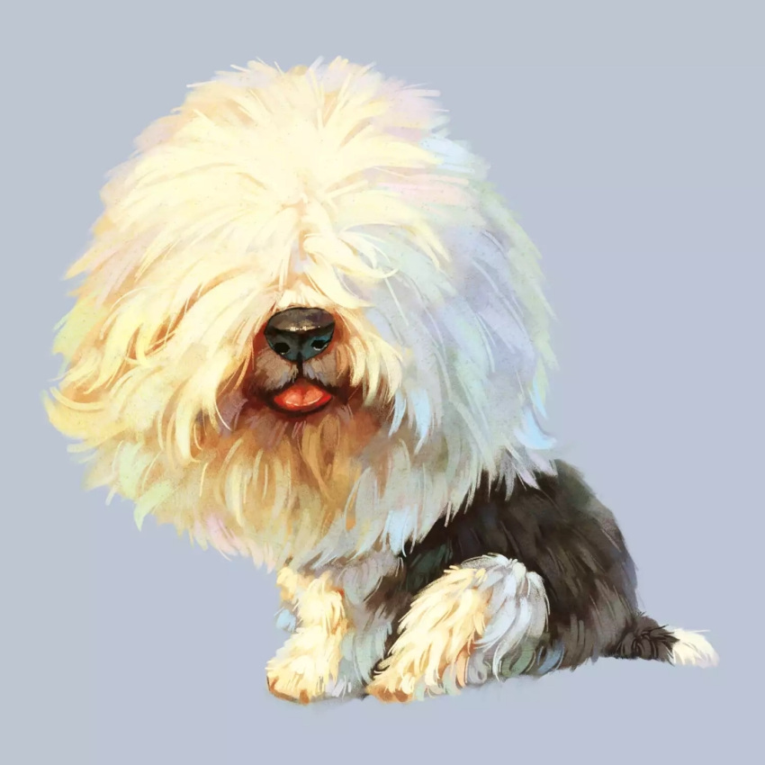 animal_focus artist_request black_fur blue_background dog_tail hair_over_eyes no_humans non-web_source old_english_sheepdog original sitting source_request tail third-party_source tongue tongue_out two-tone_fur white_fur