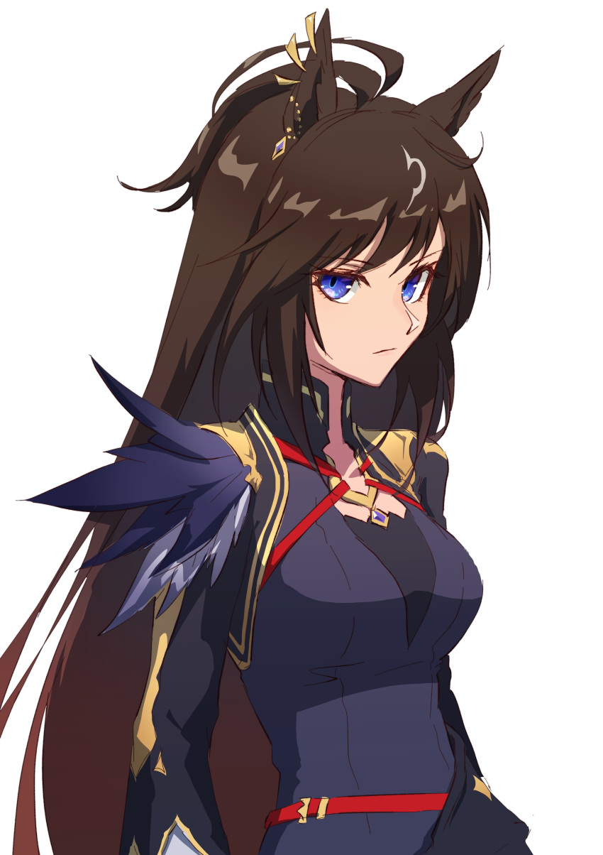 1girl absurdres animal_ears antenna_hair arms_at_sides black_jacket blue_dress blue_eyes breasts brown_hair closed_mouth dress duramente_(umamusume) expressionless feathers highres horse_ears jacket long_hair long_sleeves looking_at_viewer simple_background small_breasts solo umamusume upper_body very_long_hair watou white_background