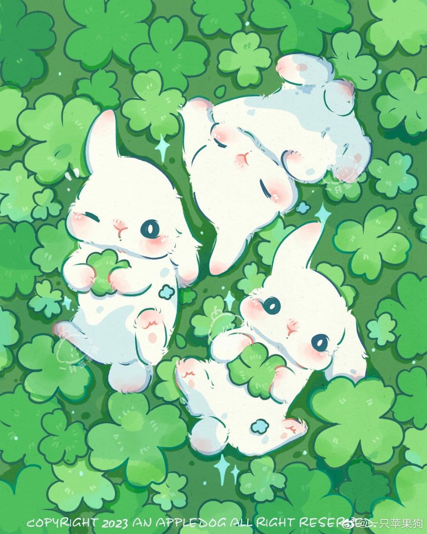 2023 animal_focus appledog artist_name blue_eyes blush chinese_commentary closed_eyes clover commentary_request english_text floppy_ears four-leaf_clover green_background highres holding_clover light_blush looking_at_viewer lying no_humans nose_blush on_back one_eye_closed original rabbit rabbit_tail sparkle tail weibo_logo weibo_username white_fur white_rabbit_(animal)
